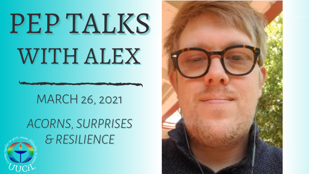 Acorns, Surprises and Resilience. Alex's Pep Talk for March 23rd Image